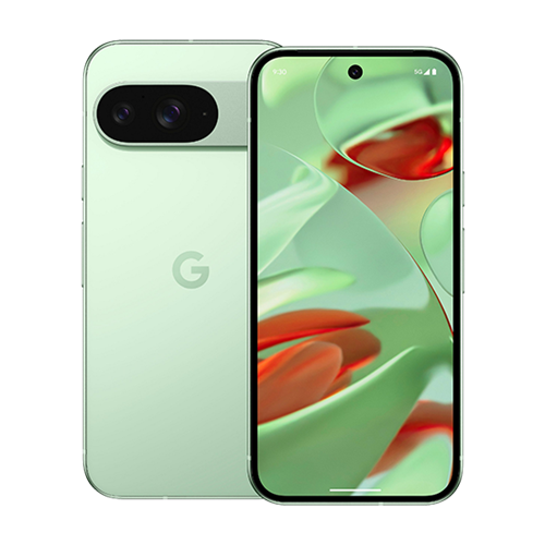 Google Pixel 9 5G (128GB/Wintergreen)